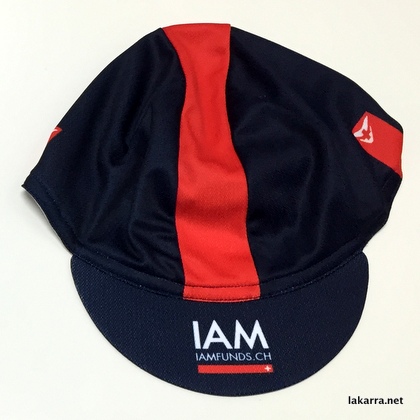cap 2015 iam