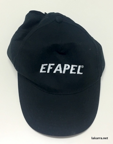 cap 2019 efapel podium