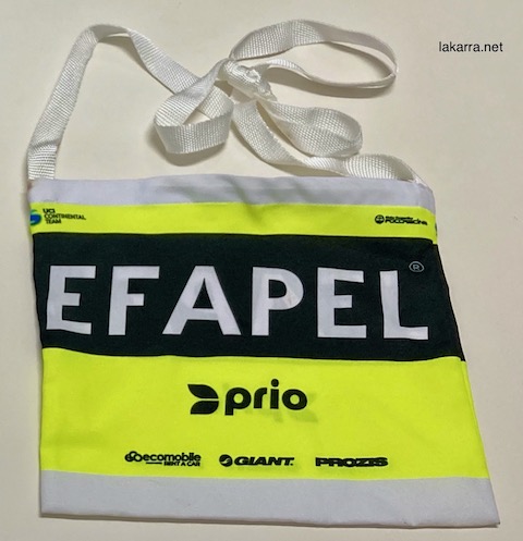 musette 2020 efapel prio