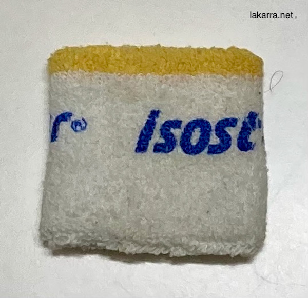 protector 1987 isostar